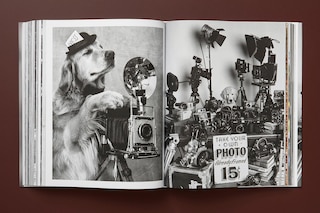 Sample content 2_Bruce Weber. The Golden Retriever Photographic Society