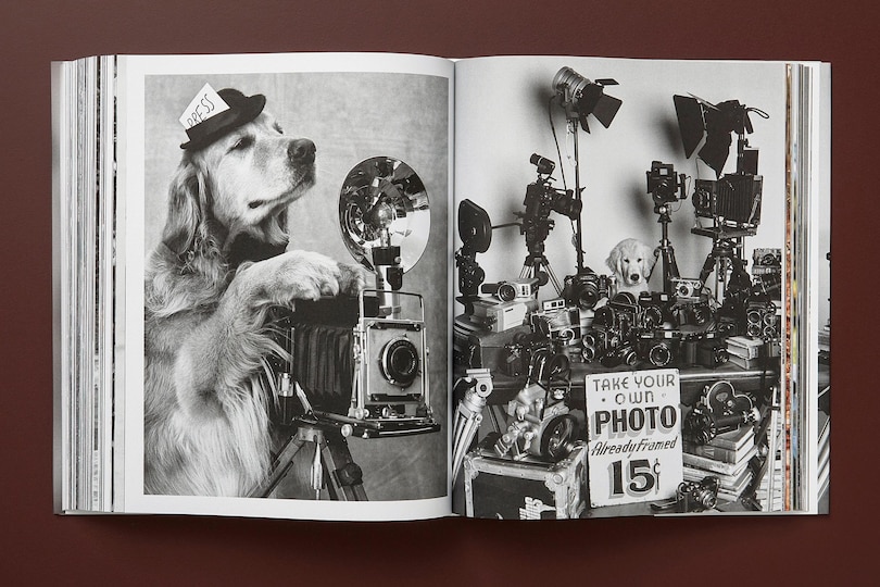 Sample content 2_Bruce Weber. The Golden Retriever Photographic Society