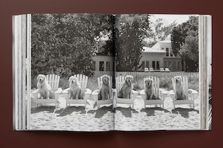 Sample content 4_Bruce Weber. The Golden Retriever Photographic Society