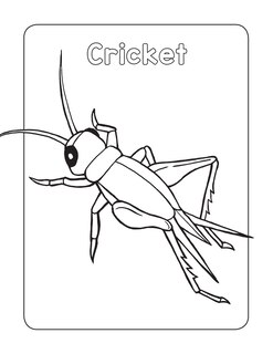 Sample content 2_Bug Book for Kids