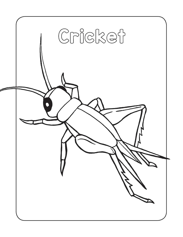 Sample content 2_Bug Book for Kids