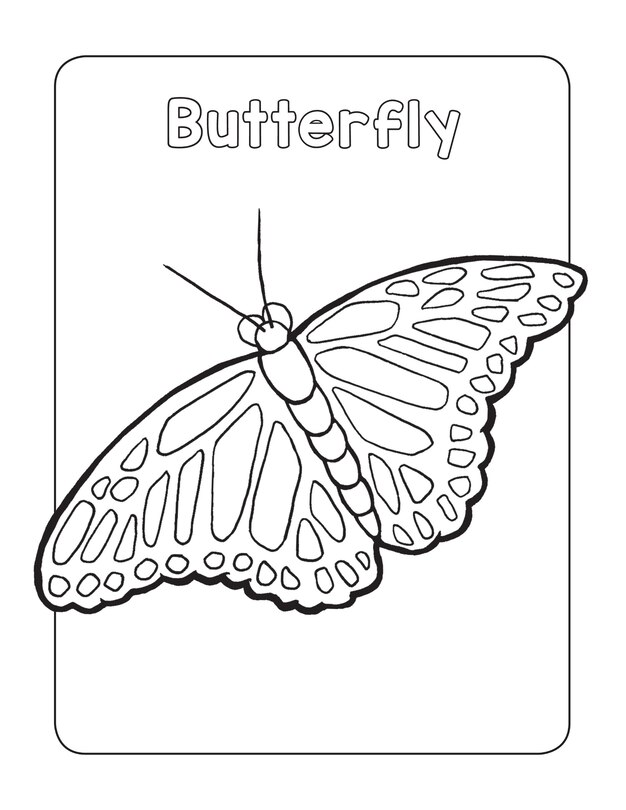 Sample content 3_Bug Book for Kids