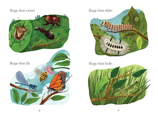 Aper&ccedil;u du contenu 5_Bug Catchers