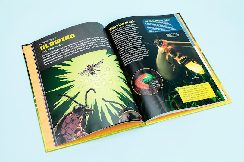 Aper&ccedil;u du contenu 2_Bug Power