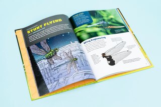 Aper&ccedil;u du contenu 3_Bug Power