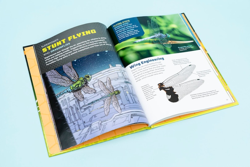 Aper&ccedil;u du contenu 3_Bug Power