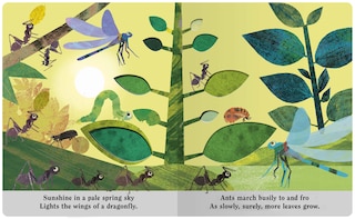 Sample content 2_Bugs: A Peek-Through Board Book