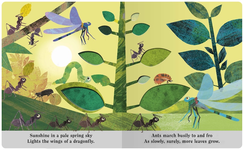 Sample content 2_Bugs: A Peek-Through Board Book