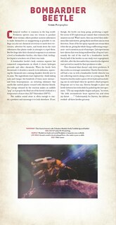 Sample content 2_Bugs