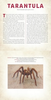 Sample content 3_Bugs