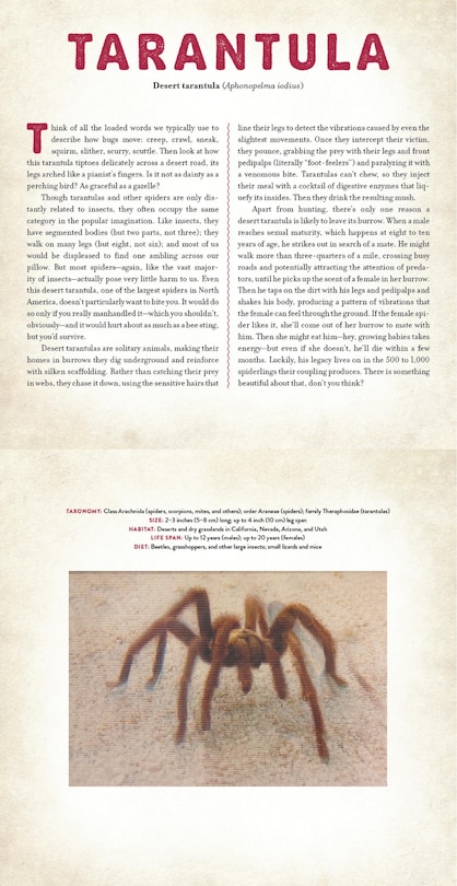 Sample content 3_Bugs