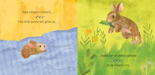 Aper&ccedil;u du contenu 3_Bunnies Know & Grow