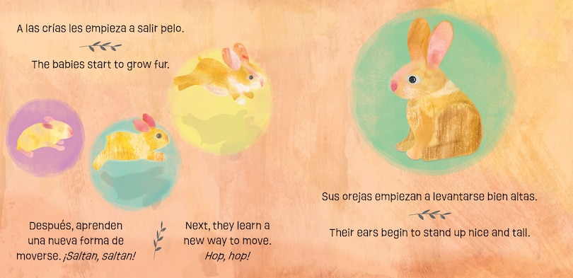 Aper&ccedil;u du contenu 4_Bunnies Know & Grow