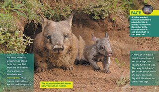 Sample content_Burrows (Learn About: Animal Homes)