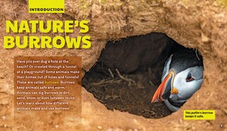 Sample content 3_Burrows (Learn About: Animal Homes)