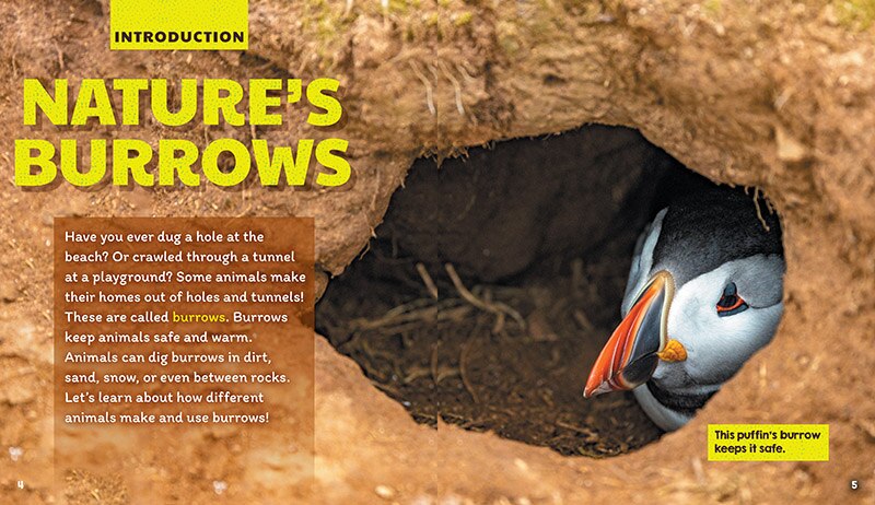 Sample content 3_Burrows (Learn About: Animal Homes)