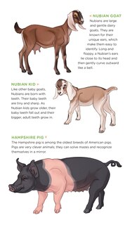 Sample content 3_Busy Barnyard of Tattoo Farm Animals
