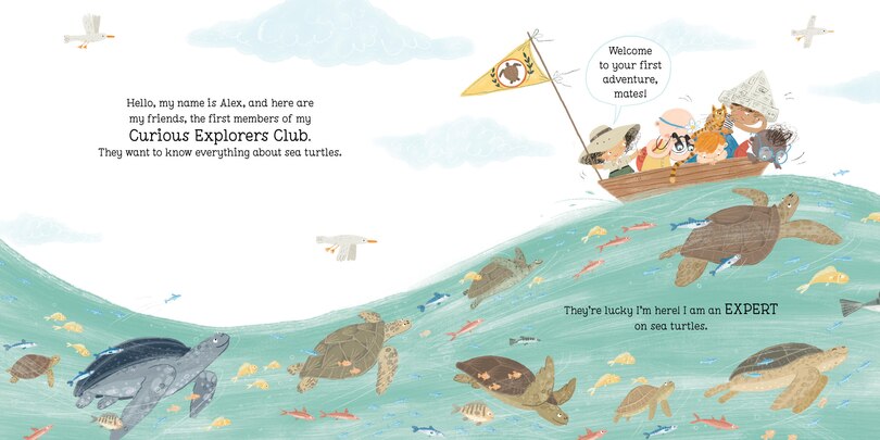 Sample content_But Where Do Sea Turtles Live?