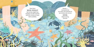 Sample content 3_But Where Do Sea Turtles Live?