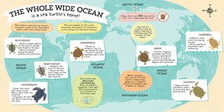 Sample content 4_But Where Do Sea Turtles Live?