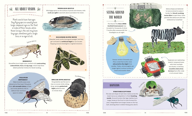 Aper&ccedil;u du contenu_Buzz