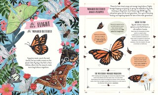 Aper&ccedil;u du contenu 3_Buzz