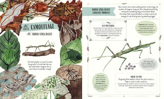 Aper&ccedil;u du contenu 5_Buzz