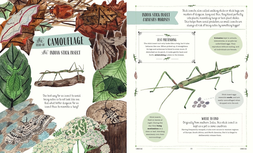 Aper&ccedil;u du contenu 5_Buzz