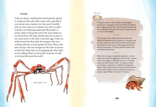 Sample content_By the Sea: Your coastline companion, from beautiful beaches and marine miscellany, to stunning seashells, seaweed, and sealife (Hidden Nature series)