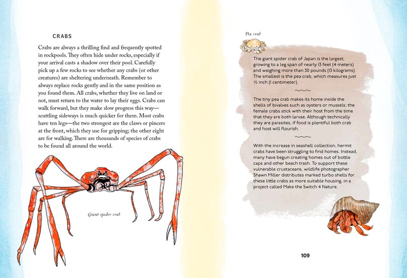 Sample content_By the Sea: Your coastline companion, from beautiful beaches and marine miscellany, to stunning seashells, seaweed, and sealife (Hidden Nature series)