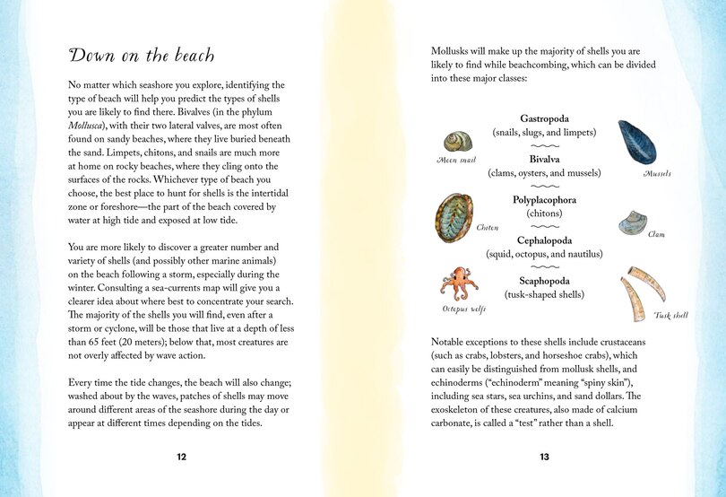 Sample content 2_By the Sea: Your coastline companion, from beautiful beaches and marine miscellany, to stunning seashells, seaweed, and sealife (Hidden Nature series)