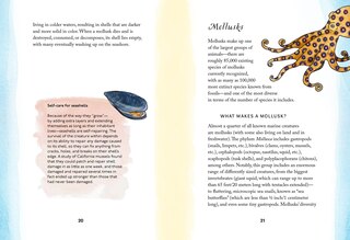 Sample content 3_By the Sea: Your coastline companion, from beautiful beaches and marine miscellany, to stunning seashells, seaweed, and sealife (Hidden Nature series)