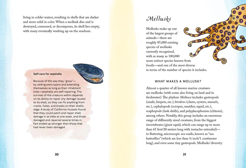 Sample content 3_By the Sea: Your coastline companion, from beautiful beaches and marine miscellany, to stunning seashells, seaweed, and sealife (Hidden Nature series)
