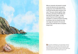 Sample content 4_By the Sea: Your coastline companion, from beautiful beaches and marine miscellany, to stunning seashells, seaweed, and sealife (Hidden Nature series)