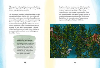 Sample content 5_By the Sea: Your coastline companion, from beautiful beaches and marine miscellany, to stunning seashells, seaweed, and sealife (Hidden Nature series)