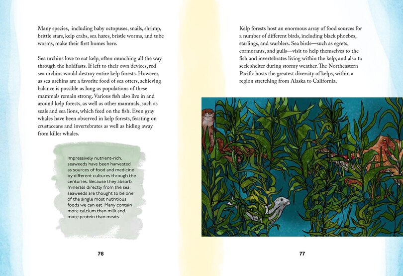 Sample content 5_By the Sea: Your coastline companion, from beautiful beaches and marine miscellany, to stunning seashells, seaweed, and sealife (Hidden Nature series)