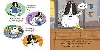 Sample content_Bye Bye, Butterfly