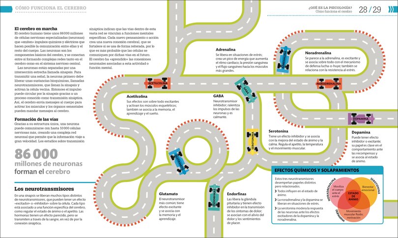 Sample content 4_C&oacute;mo funciona la psicolog&iacute;a (How Psychology Works)