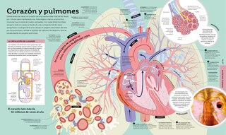 Sample content_Como funcionan las cosas (How Everything Works)