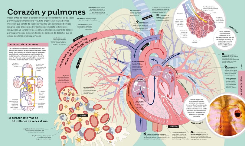 Sample content_Como funcionan las cosas (How Everything Works)