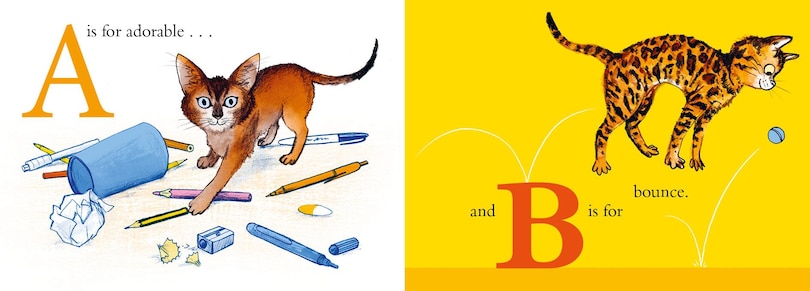 Sample content 3_C is for Cat