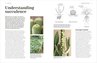 Sample content 2_Cacti and Succulents