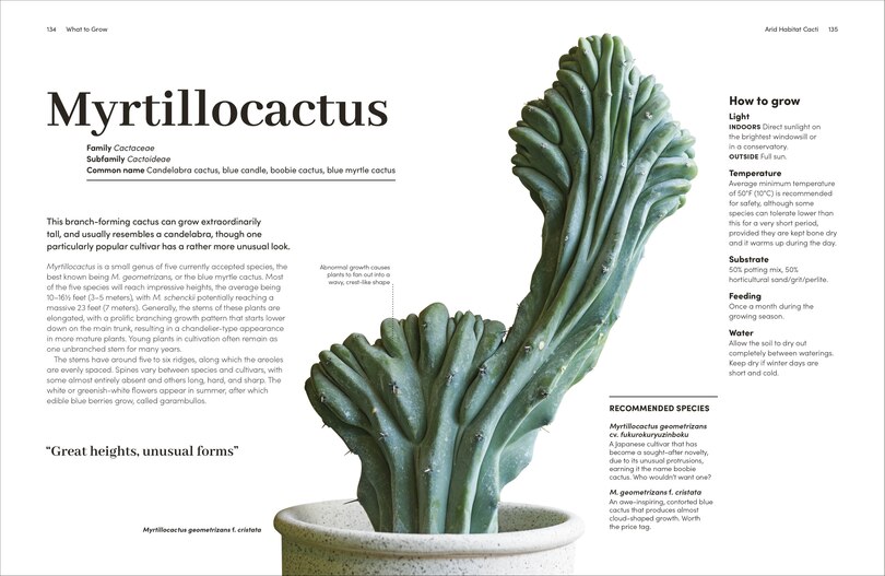 Sample content 4_Cacti and Succulents