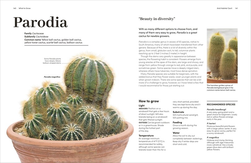 Sample content 5_Cacti and Succulents