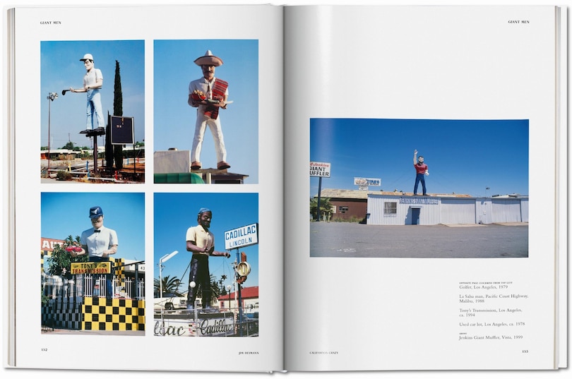 Sample content_California Crazy. American Pop Architecture