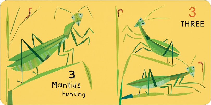 Aper&ccedil;u du contenu 3_Canadian Animals 123