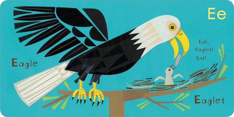 Aper&ccedil;u du contenu 4_Canadian Animals Abc