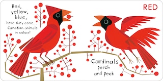 Aper&ccedil;u du contenu_Canadian Animals in Colour