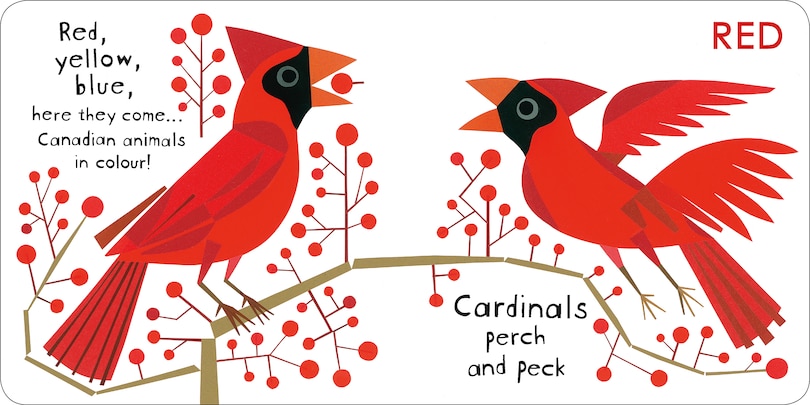 Aper&ccedil;u du contenu_Canadian Animals in Colour