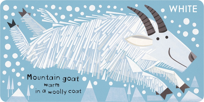 Aper&ccedil;u du contenu 2_Canadian Animals in Colour